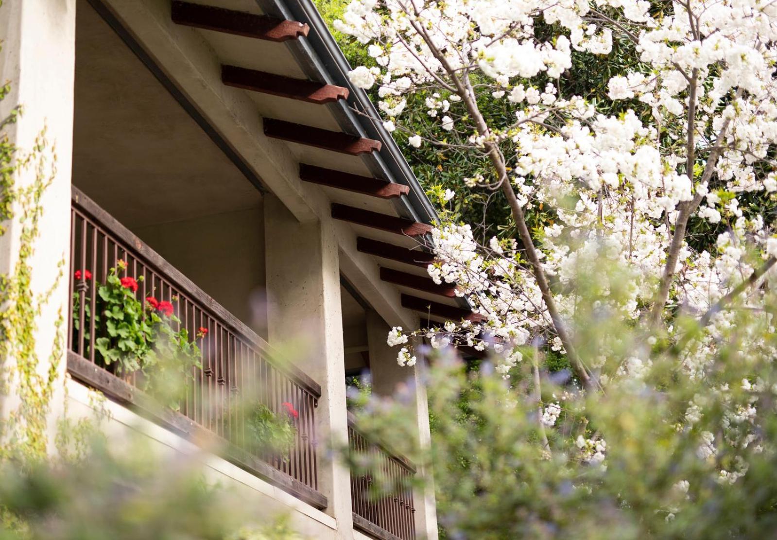 Hotel Appellation - Wine & Roses And